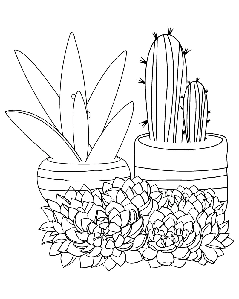 Suculentas Para Colorear 1