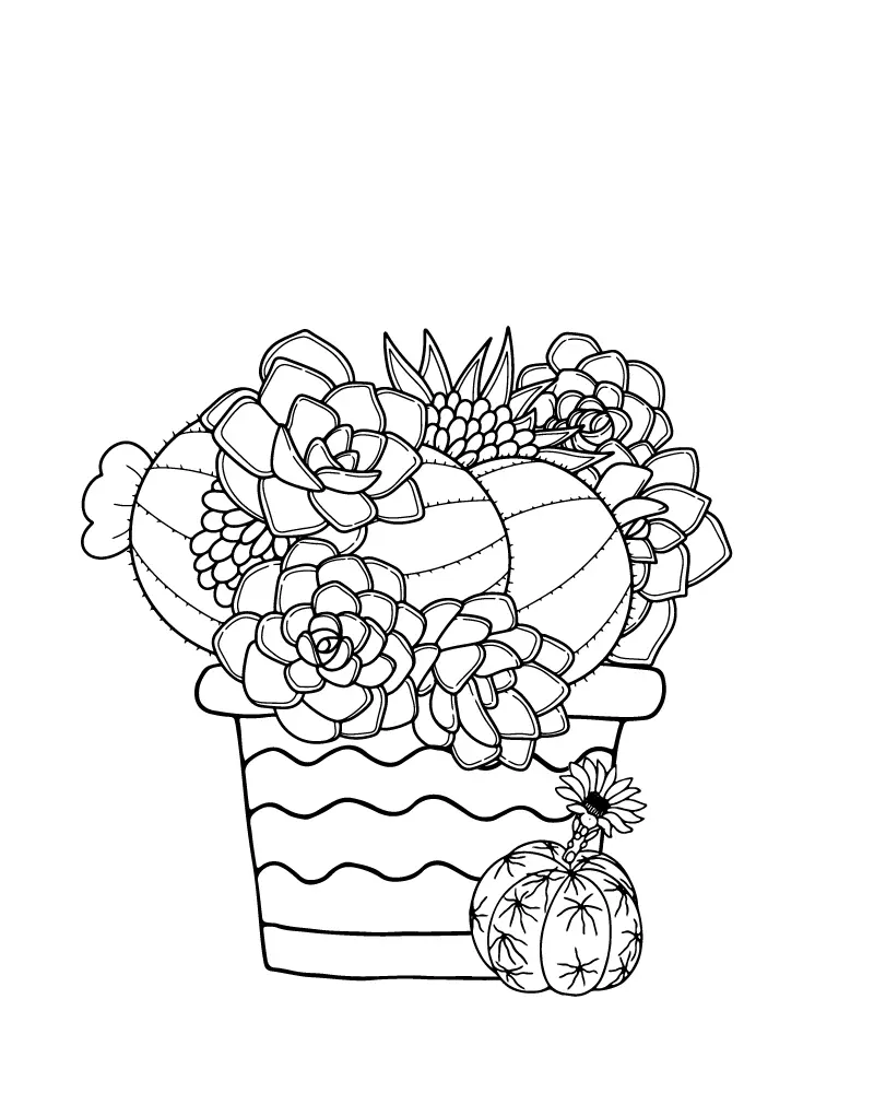 Suculentas Para Colorear 14