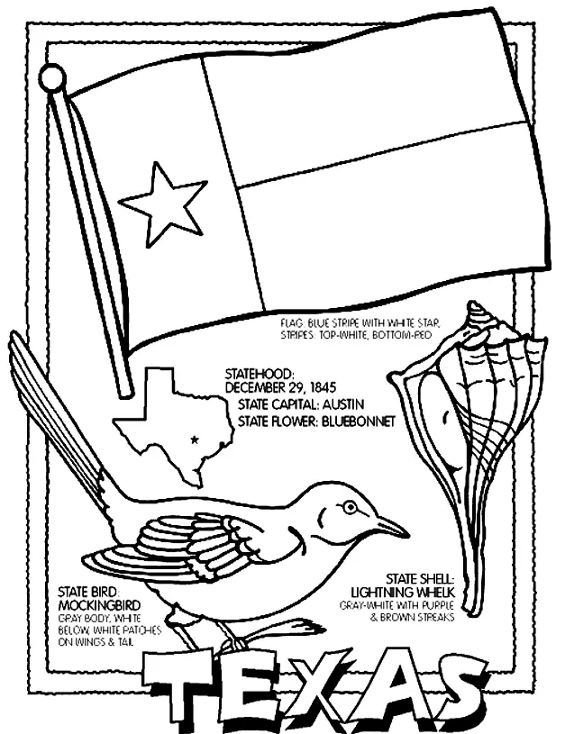 Texas Ausmalbilder 21
