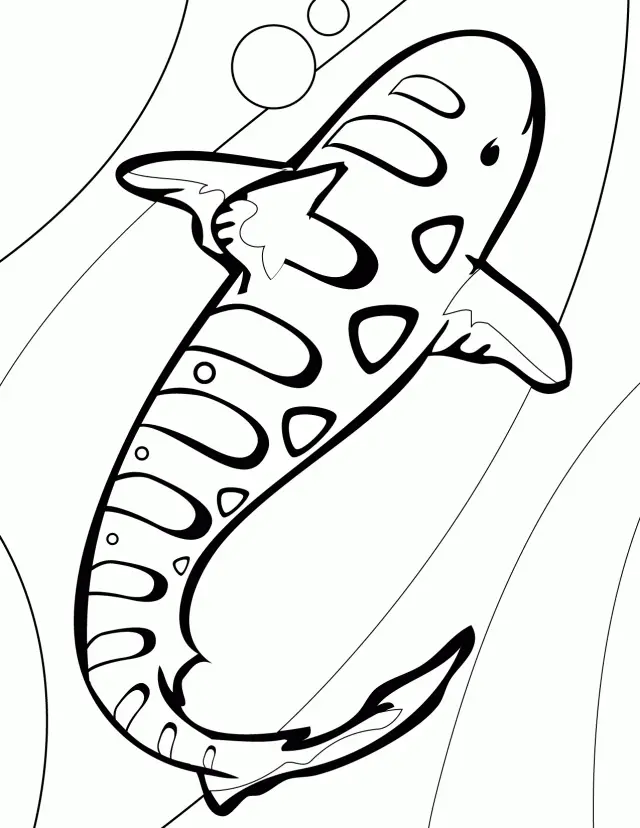 Desenhos de Tigre Para Colorir 116