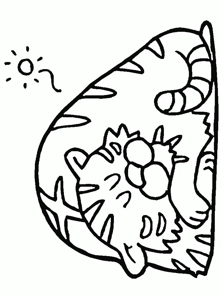Desenhos de Tigre Para Colorir 156