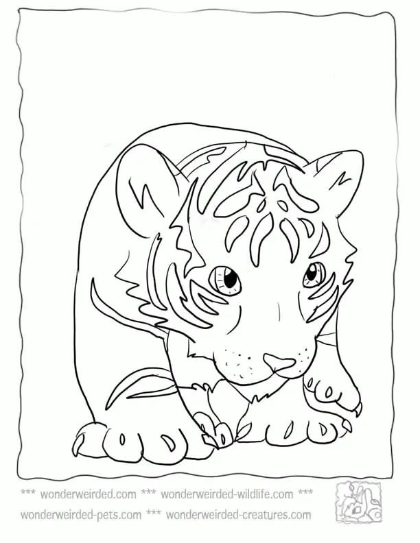 Desenhos de Tigre Para Colorir 21