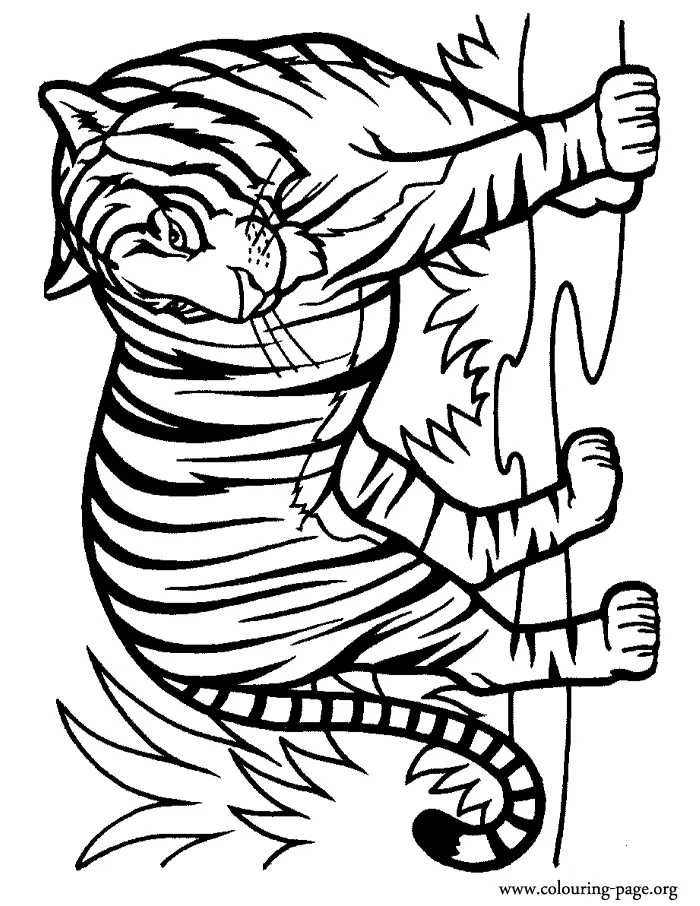 Desenhos de Tigre Para Colorir 54