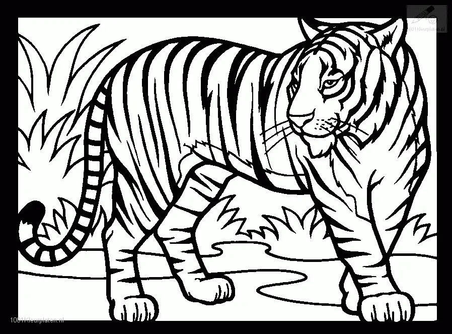 Desenhos de Tigre Para Colorir 61