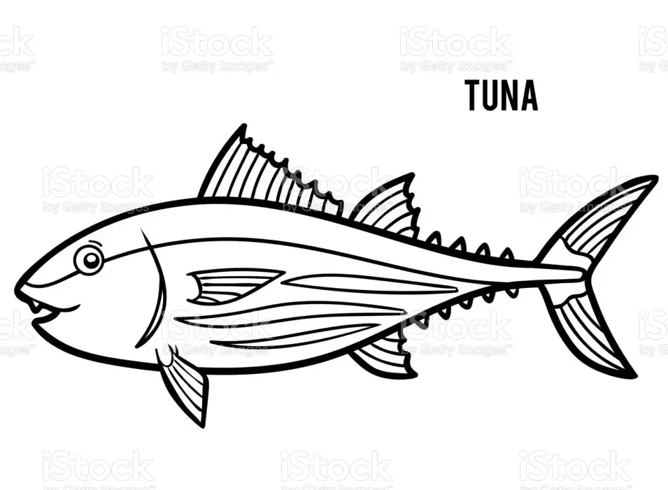 Thunfisch Ausmalbilder 29