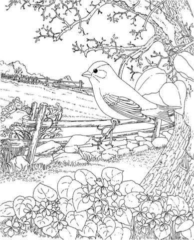 Ausmalbilder Violette 10