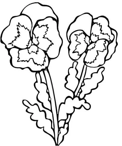 Ausmalbilder Violette 20