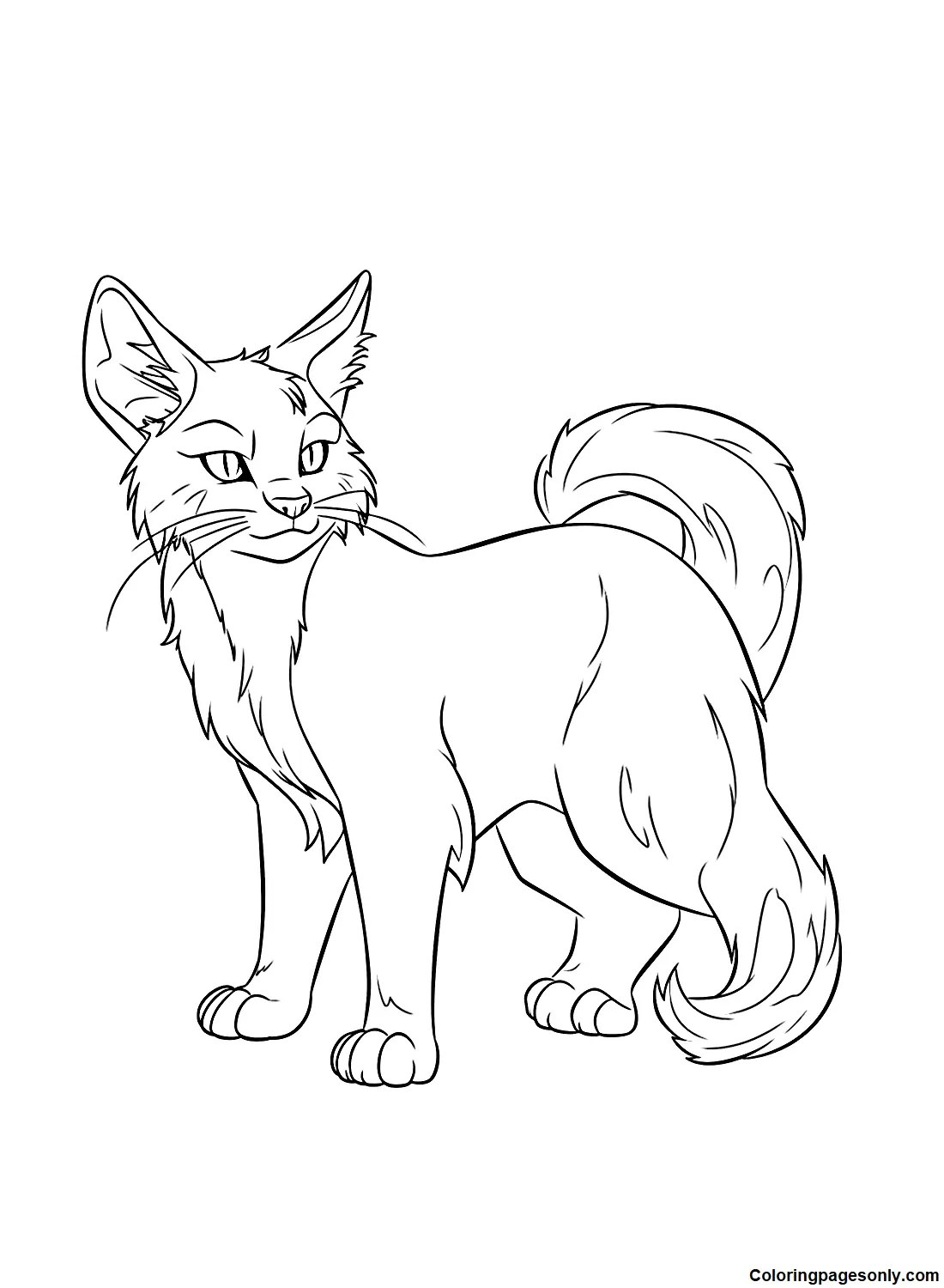 Warrior Cats Ausmalbilder