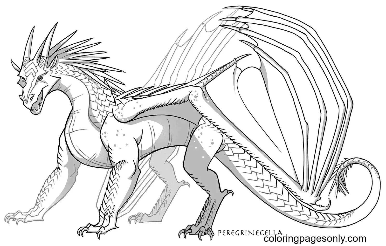 Wings Of Fire Ausmalbilder
