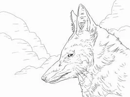 Wolf Ausmalbilder 102