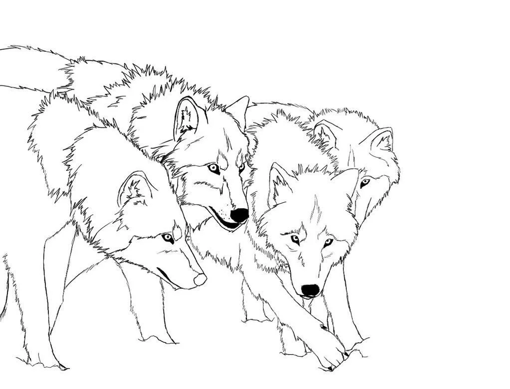 Wolf Ausmalbilder 2