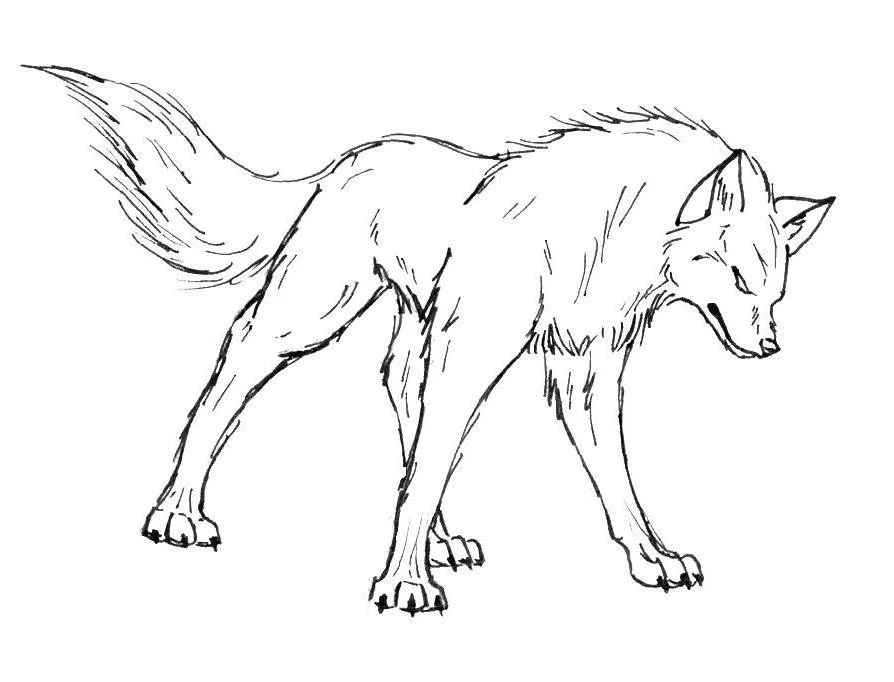 Wolf Ausmalbilder 23
