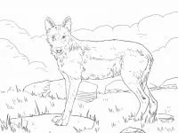 Wolf Ausmalbilder 99