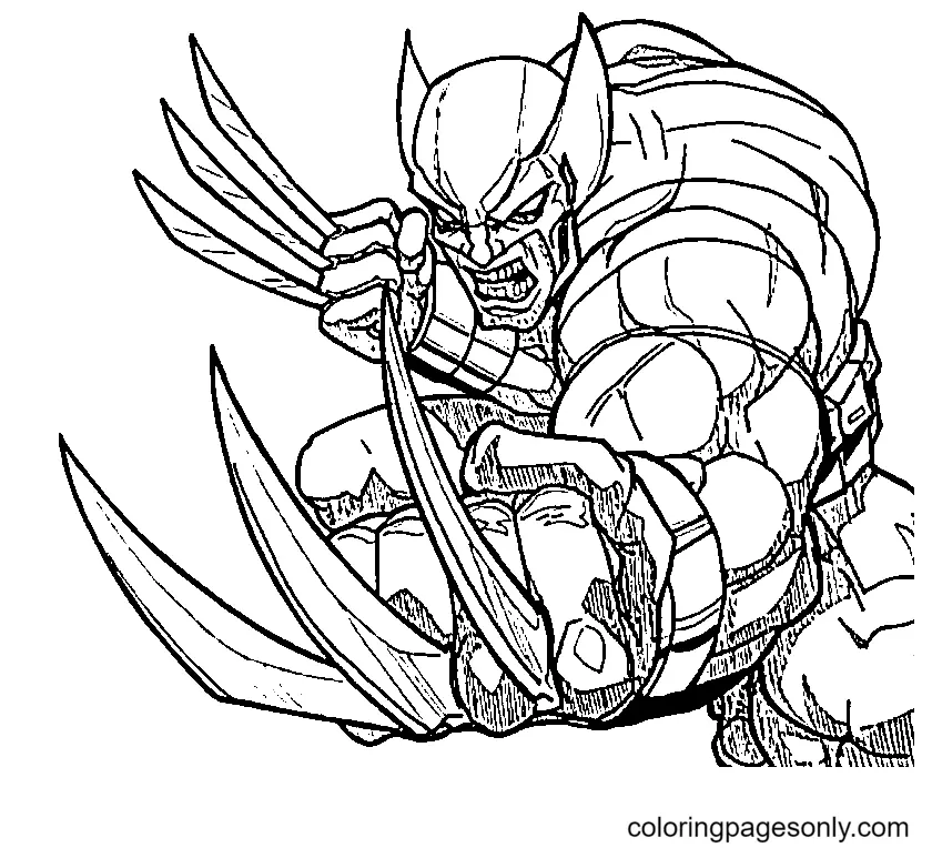 Wolverine Coloring Pages 1