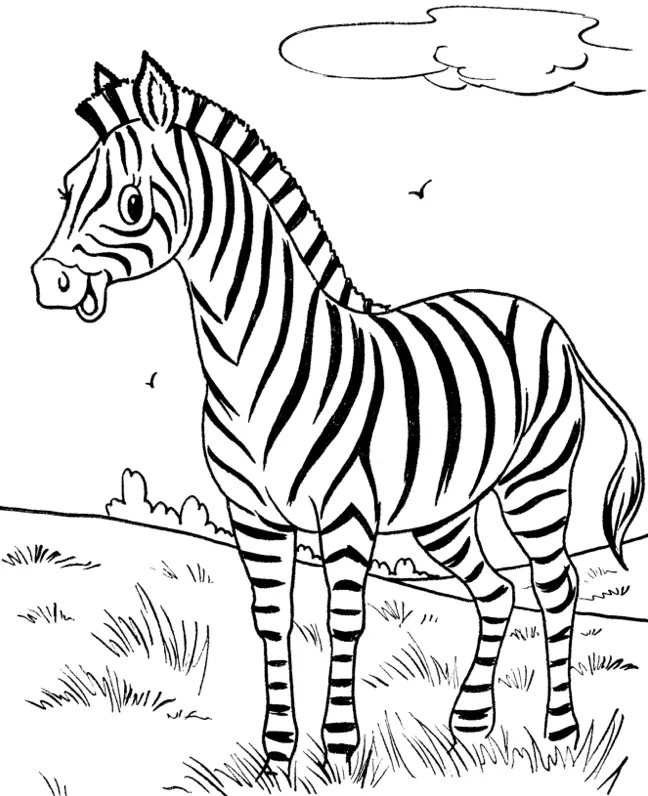 Desenhos de Zebra Para Colorir 8
