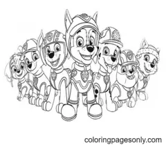 Zuma Paw Patrol Ausmalbilder 2